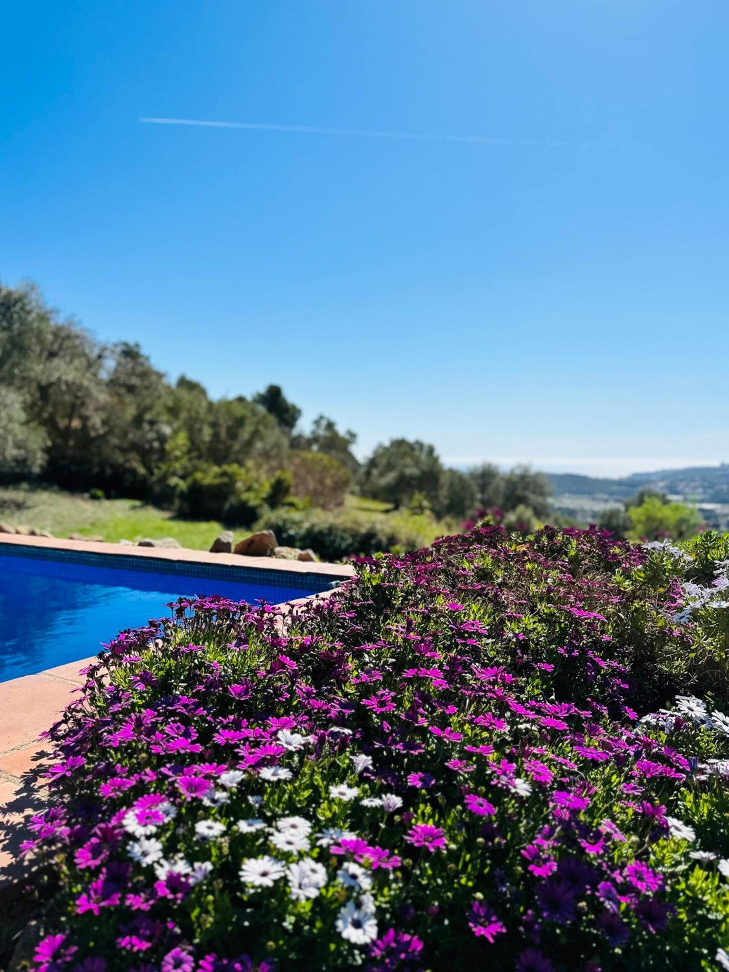 B&B La Vista Brava Platja d'Aro Exteriér fotografie