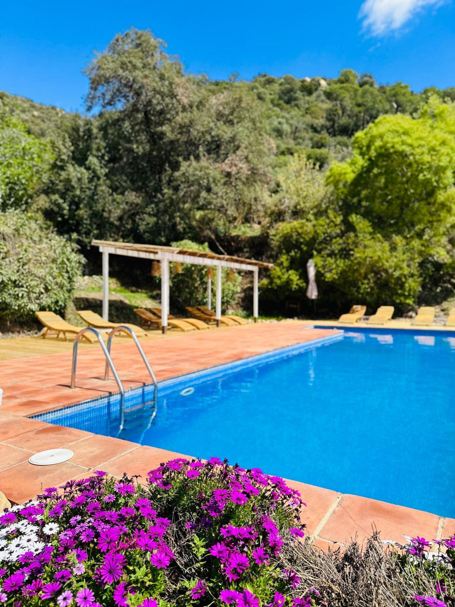 B&B La Vista Brava Platja d'Aro Exteriér fotografie